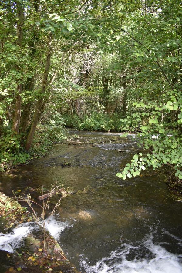 Le Moulin,19 Bis Rue De Beaudon, 45330 Augerville La Riviere Trezan Eksteriør billede